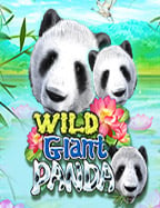 สล็อต joker วอ เลทเว็บ เดิมพัน ที่ ดี ที่สุด: เทคนิคที่สนุกและท้าทาย