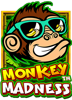 เชี่ยวชาญการ ดู เว็บ สล็อต อย่างมือโปร